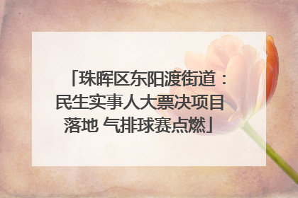 珠晖区东阳渡街道：民生实事人大票决项目落地 气排球赛点燃