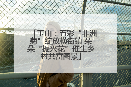 玉山：五彩“非洲菊”绽放横街镇 朵朵“振兴花”催生乡村共富图景