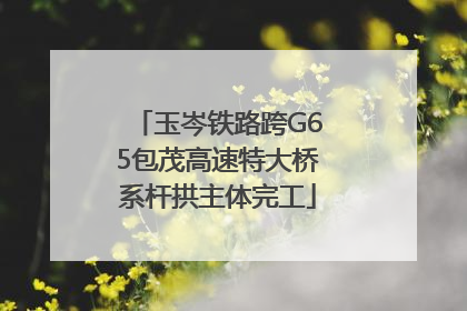 玉岑铁路跨G65包茂高速特大桥系杆拱主体完工