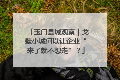 玉门县域观察｜戈壁小城何以让企业“来了就不想走”？
