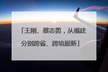 王刚、蔡志勇，从福建分别跨省、跨境履新