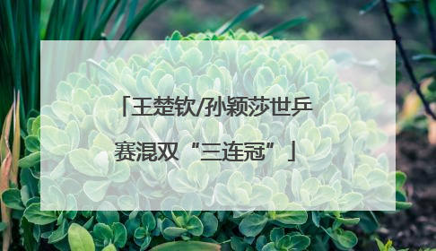 王楚钦/孙颖莎世乒赛混双“三连冠”
