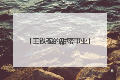王铁强的甜蜜事业