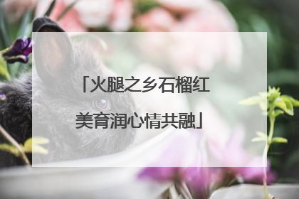 火腿之乡石榴红 美育润心情共融