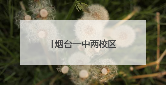烟台一中两校区2025年招收体育特长生27人