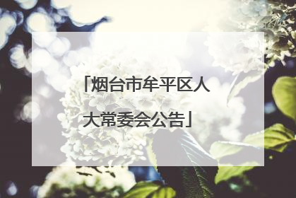 烟台市牟平区人大常委会公告