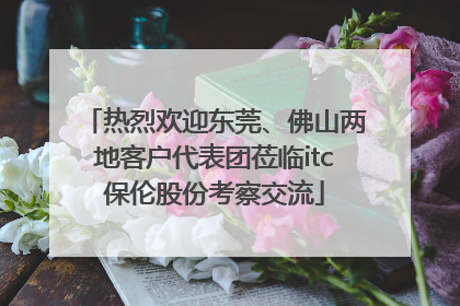 热烈欢迎东莞、佛山两地客户代表团莅临itc保伦股份考察交流