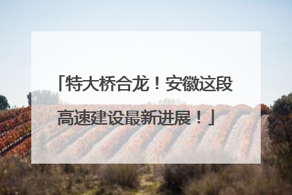 特大桥合龙！安徽这段高速建设最新进展！