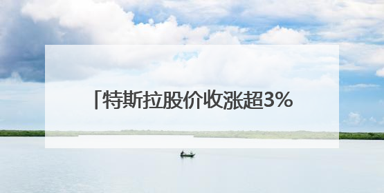 特斯拉股价收涨超3%：特朗普无意沟通，马斯克父亲劝儿子低头