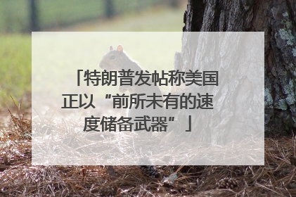 特朗普发帖称美国正以“前所未有的速度储备武器”