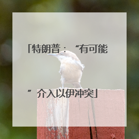 特朗普：“有可能”介入以伊冲突