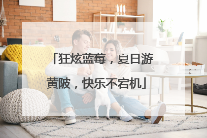 狂炫蓝莓，夏日游黄陂，快乐不宕机
