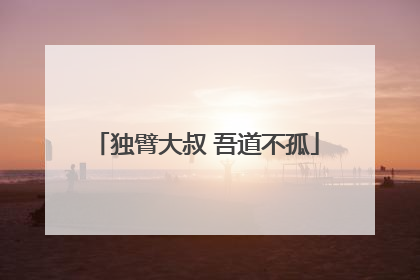 独臂大叔 吾道不孤