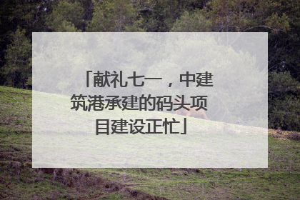 献礼七一，中建筑港承建的码头项目建设正忙