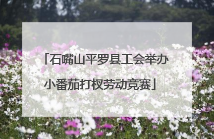 石嘴山平罗县工会举办小番茄打杈劳动竞赛
