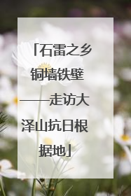 石雷之乡 铜墙铁壁——走访大泽山抗日根据地
