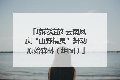 琼花绽放 云南凤庆“山野精灵”舞动原始森林（组图）