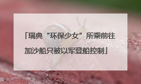 瑞典“环保少女”所乘前往加沙船只被以军登船控制