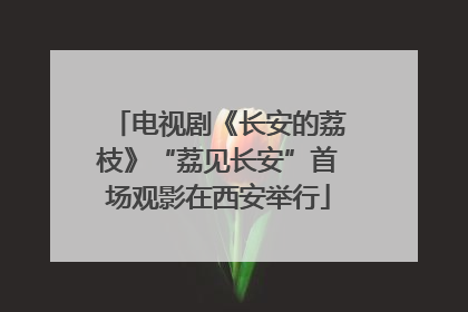 电视剧《长安的荔枝》“荔见长安”首场观影在西安举行