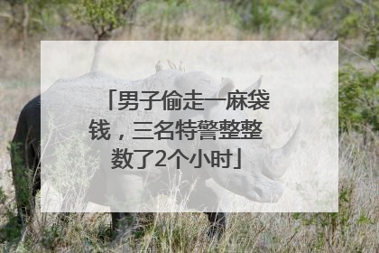 男子偷走一麻袋钱，三名特警整整数了2个小时