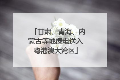 甘肃、青海、内蒙古等地绿电送入粤港澳大湾区