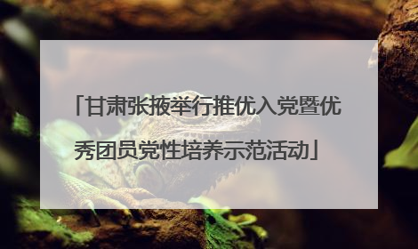 甘肃张掖举行推优入党暨优秀团员党性培养示范活动