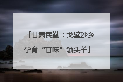 甘肃民勤：戈壁沙乡孕育“甘味”领头羊