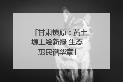 甘肃镇原：黄土塬上绘新绿 生态惠民谱华章