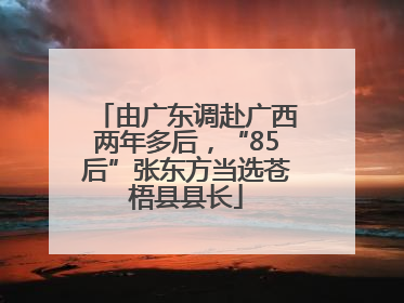 由广东调赴广西两年多后，“85后”张东方当选苍梧县县长