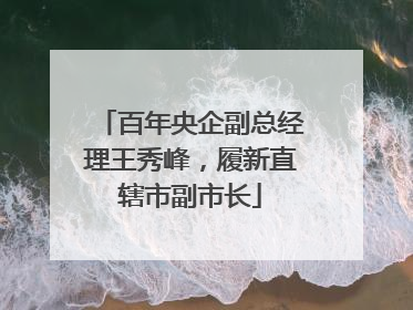 百年央企副总经理王秀峰，履新直辖市副市长