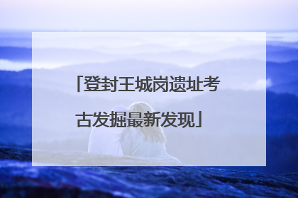 登封王城岗遗址考古发掘最新发现