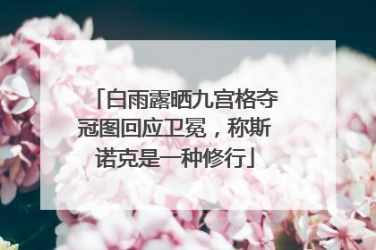白雨露晒九宫格夺冠图回应卫冕，称斯诺克是一种修行