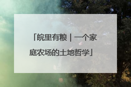 皖里有粮｜一个家庭农场的土地哲学