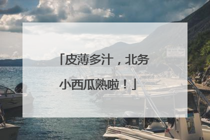 皮薄多汁，北务小西瓜熟啦！
