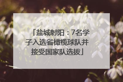 盐城射阳：7名学子入选省橄榄球队并接受国家队选拔