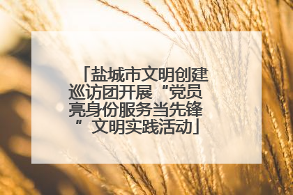 盐城市文明创建巡访团开展“党员亮身份服务当先锋”文明实践活动