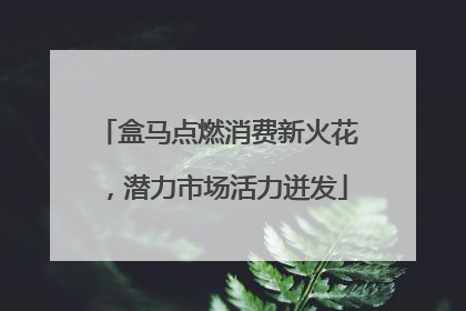 盒马点燃消费新火花，潜力市场活力迸发