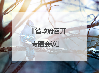 省政府召开专题会议