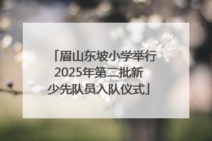 眉山东坡小学举行2025年第二批新少先队员入队仪式