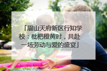 眉山天府新区行知学校：枇杷橙黄时，共赴一场劳动与爱的盛宴