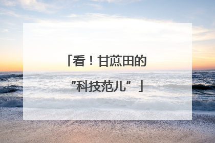 看！甘蔗田的“科技范儿”