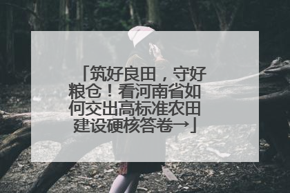 筑好良田，守好粮仓！看河南省如何交出高标准农田建设硬核答卷→