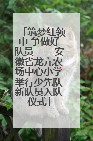 筑梦红领巾 争做好队员——安徽省龙亢农场中心小学举行少先队新队员入队仪式