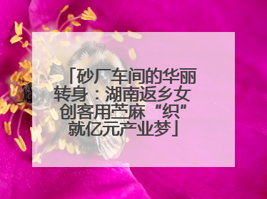 砂厂车间的华丽转身：湖南返乡女创客用苎麻“织”就亿元产业梦