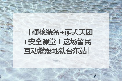 硬核装备+萌犬天团+安全课堂！这场警民互动燃爆地铁台东站