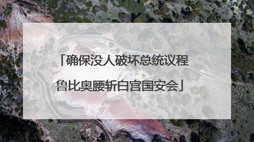 确保没人破坏总统议程 鲁比奥腰斩白宫国安会