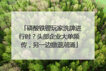 磷酸铁锂玩家洗牌进行时？头部企业大单频传，另一边撤退潮涌