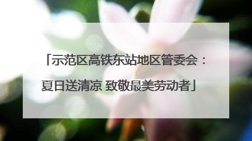 示范区高铁东站地区管委会：夏日送清凉 致敬最美劳动者