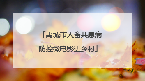 禹城市人畜共患病防控微电影进乡村