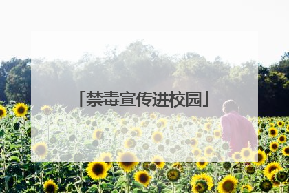 禁毒宣传进校园